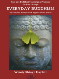 Everyday Buddhism Front Cover