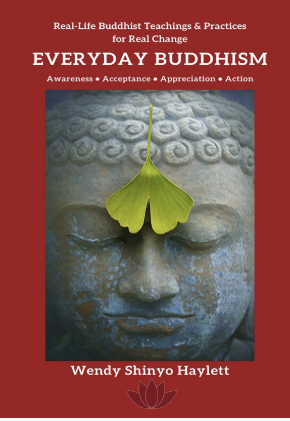 everyday-buddhism-real-life-buddhist-teachings-practices-for-real-change-by-wendy-shinyo-haylett