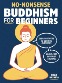 No Non-Sense Buddhism for Beginners Front Cover