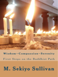 Wisdom~Compassion~Serenity Front Cover